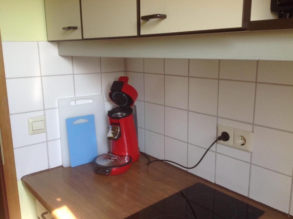 Hotel Zum Schwanen Garni Buggingen Zewnętrze zdjęcie