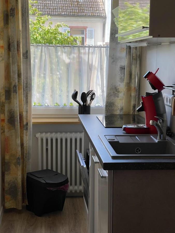 Hotel Zum Schwanen Garni Buggingen Zewnętrze zdjęcie