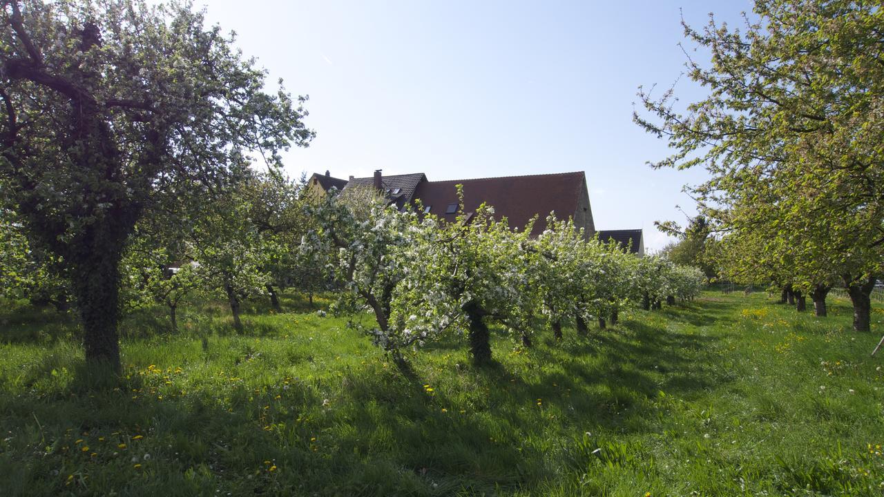 Hotel Zum Schwanen Garni Buggingen Zewnętrze zdjęcie